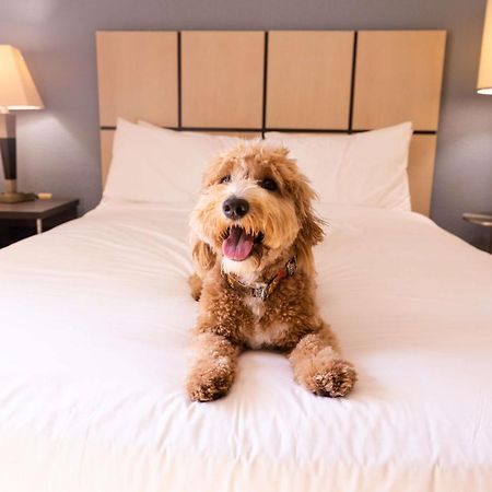 Sonesta Simply Suites Pittsburgh Airport Imperial المظهر الخارجي الصورة