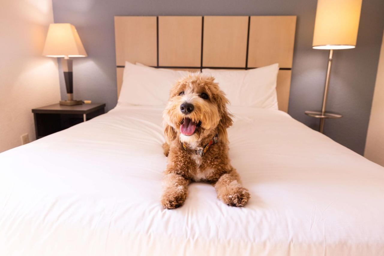 Sonesta Simply Suites Pittsburgh Airport Imperial المظهر الخارجي الصورة